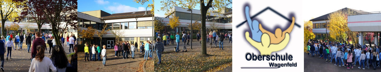 Oberschule Wagenfeld Vertretungsplan